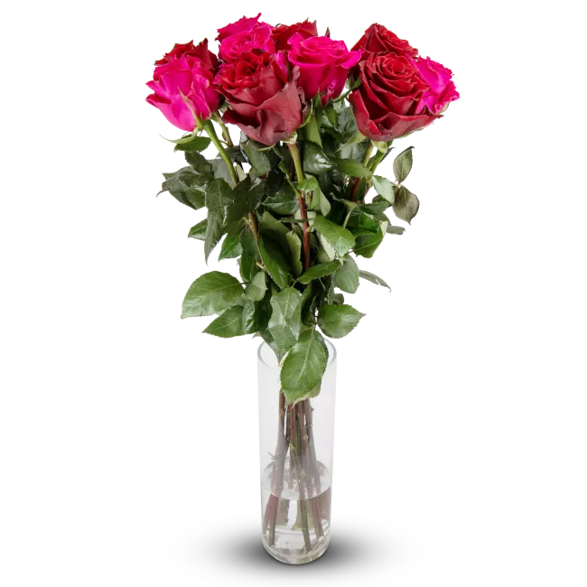 Kytice ekvádorských růží 80 cm